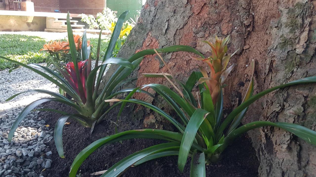 Hospedagem Economica Flor De Maria كاراغواتاتوبا المظهر الخارجي الصورة